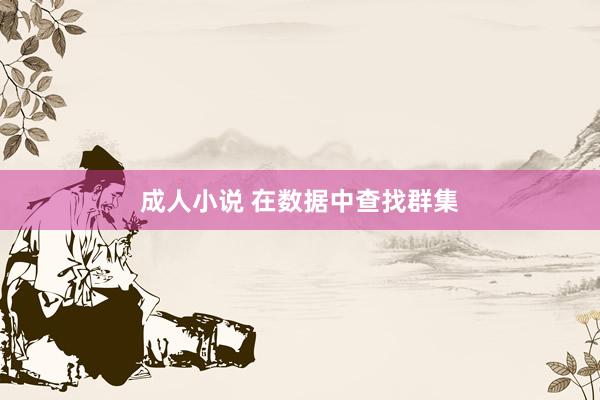 成人小说 在数据中查找群集