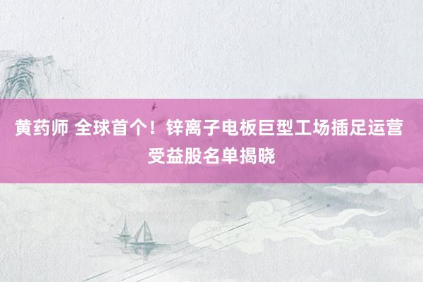 黄药师 全球首个！锌离子电板巨型工场插足运营 受益股名单揭晓
