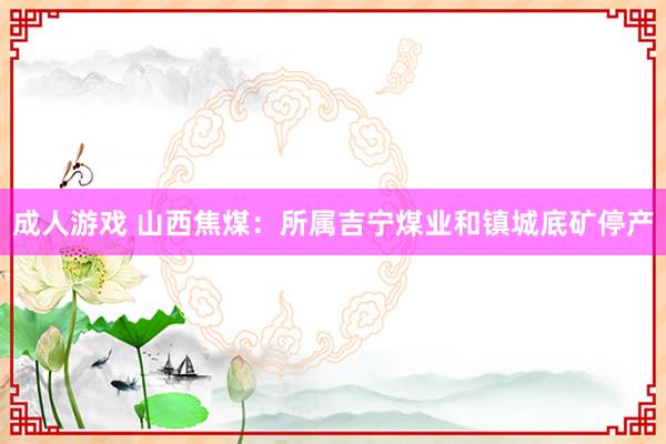 成人游戏 山西焦煤：所属吉宁煤业和镇城底矿停产