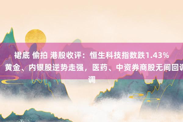 裙底 偷拍 港股收评：恒生科技指数跌1.43%，黄金、内银股逆势走强，医药、中资券商股无间回调