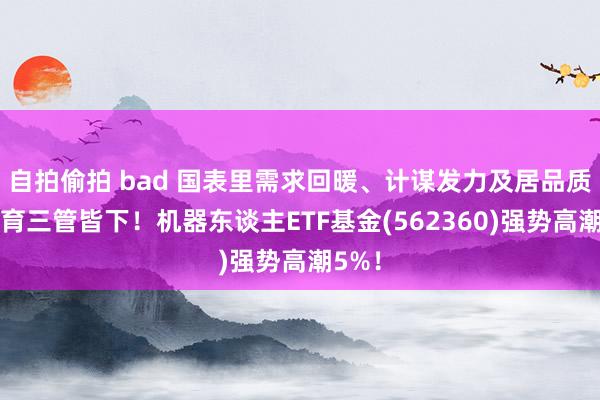 自拍偷拍 bad 国表里需求回暖、计谋发力及居品质能培育三管皆下！机器东谈主ETF基金(562360)强势高潮5%！