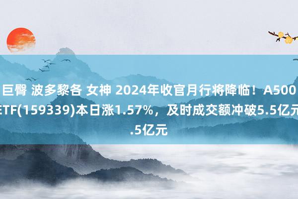 巨臀 波多黎各 女神 2024年收官月行将降临！A500ETF(159339)本日涨1.57%，及时成交额冲破5.5亿元