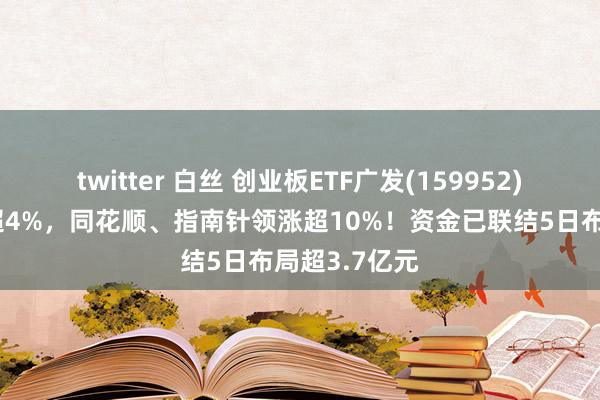 twitter 白丝 创业板ETF广发(159952)早盘一度涨超4%，同花顺、指南针领涨超10%！资金已联结5日布局超3.7亿元