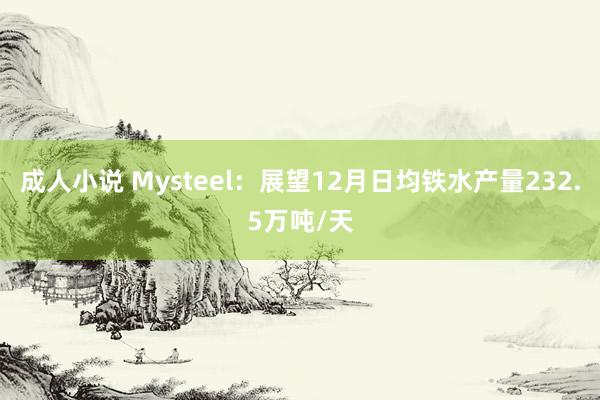 成人小说 Mysteel：展望12月日均铁水产量232.5万吨/天