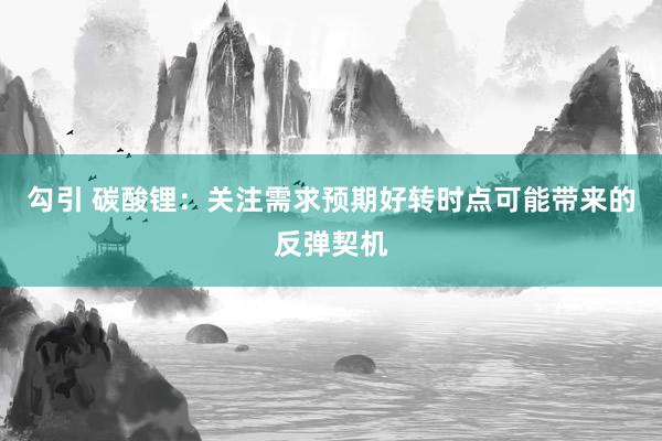 勾引 碳酸锂：关注需求预期好转时点可能带来的反弹契机