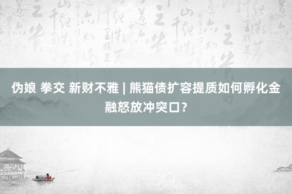 伪娘 拳交 新财不雅 | 熊猫债扩容提质如何孵化金融怒放冲突口？